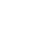 vasp